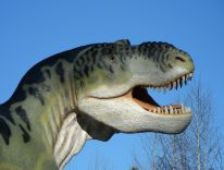 dinoszauruszok emlősök a jégkorszaki modellműhely őskori állatai 25